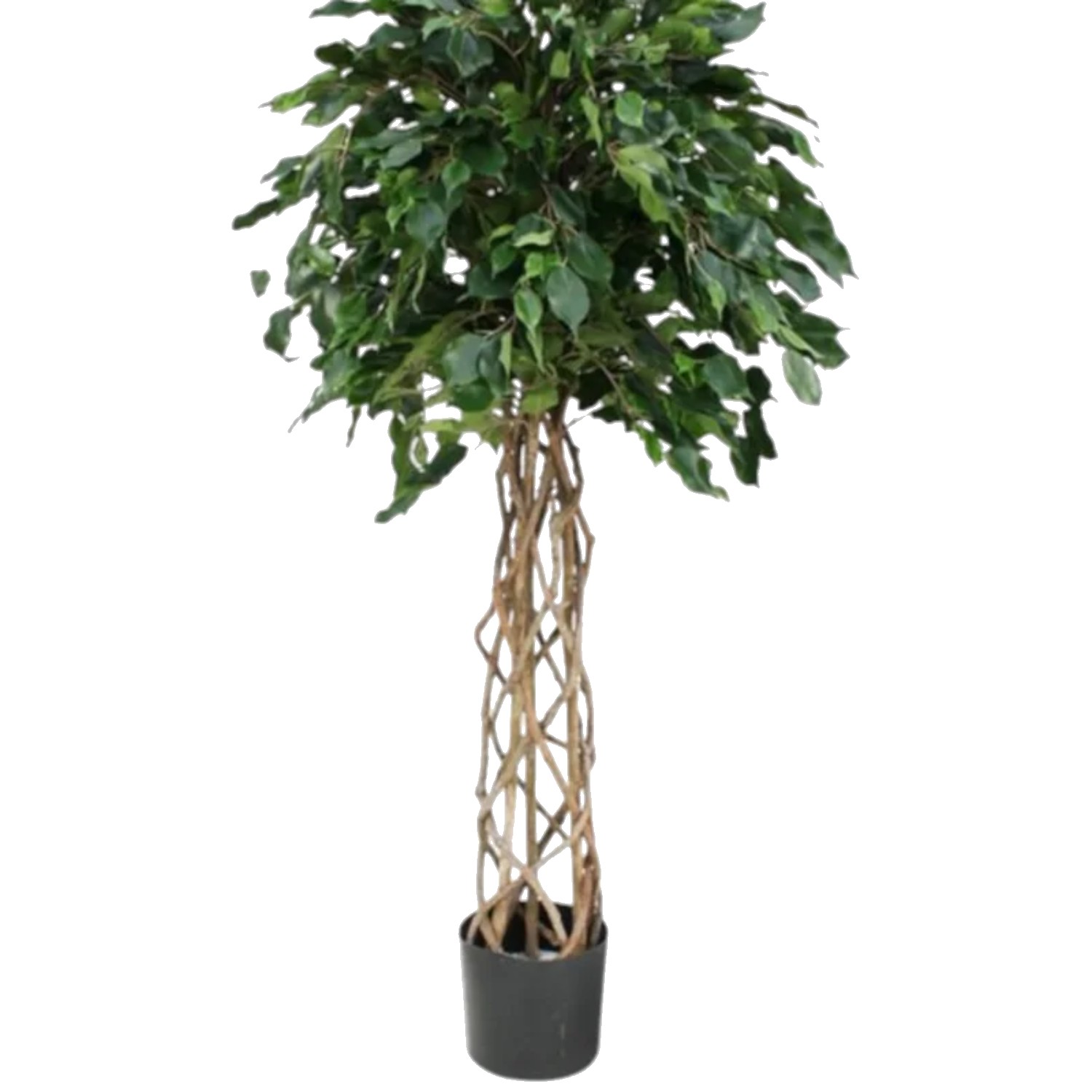 Yapay Örgü Gövdeli Ficus Ağacı