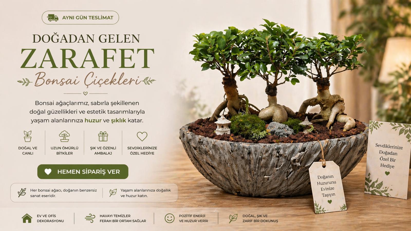Bonsai Ağaçları