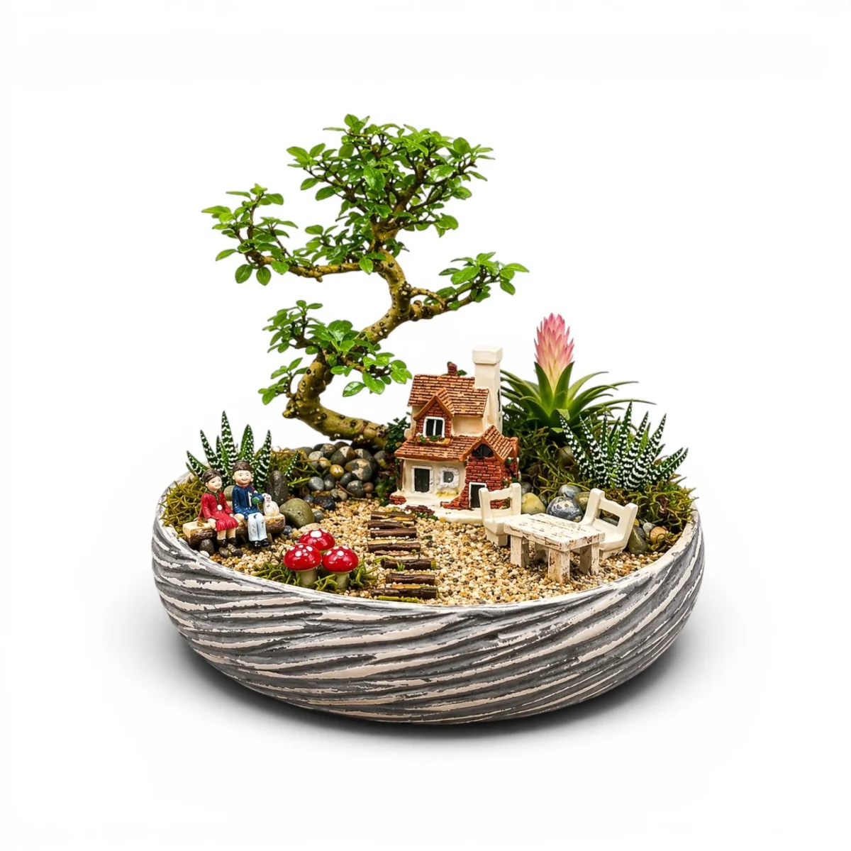 Saksıda Bonsai ve Minyatür Yaşam Bahçesi
