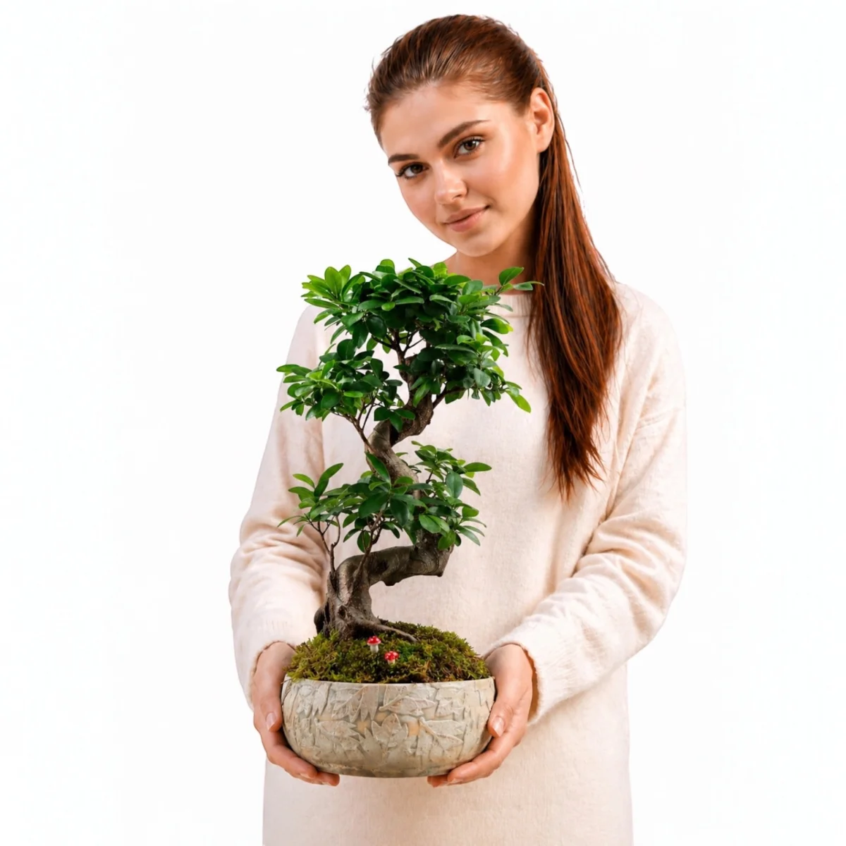 Premium Bonsai Ağacı Dekoratif Saksıda