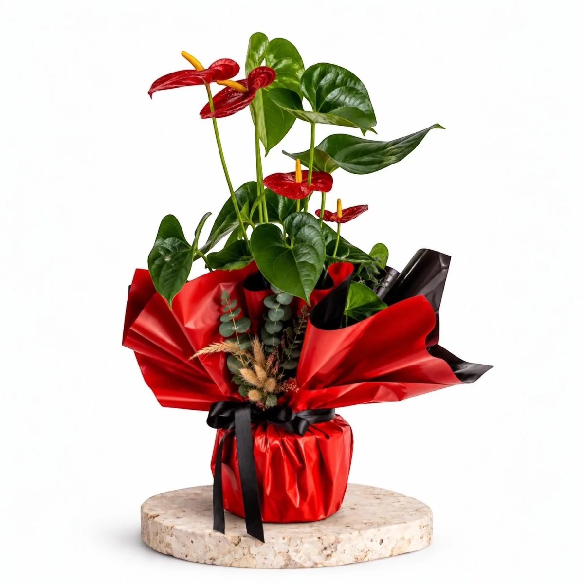Crimson Anthurium Royale