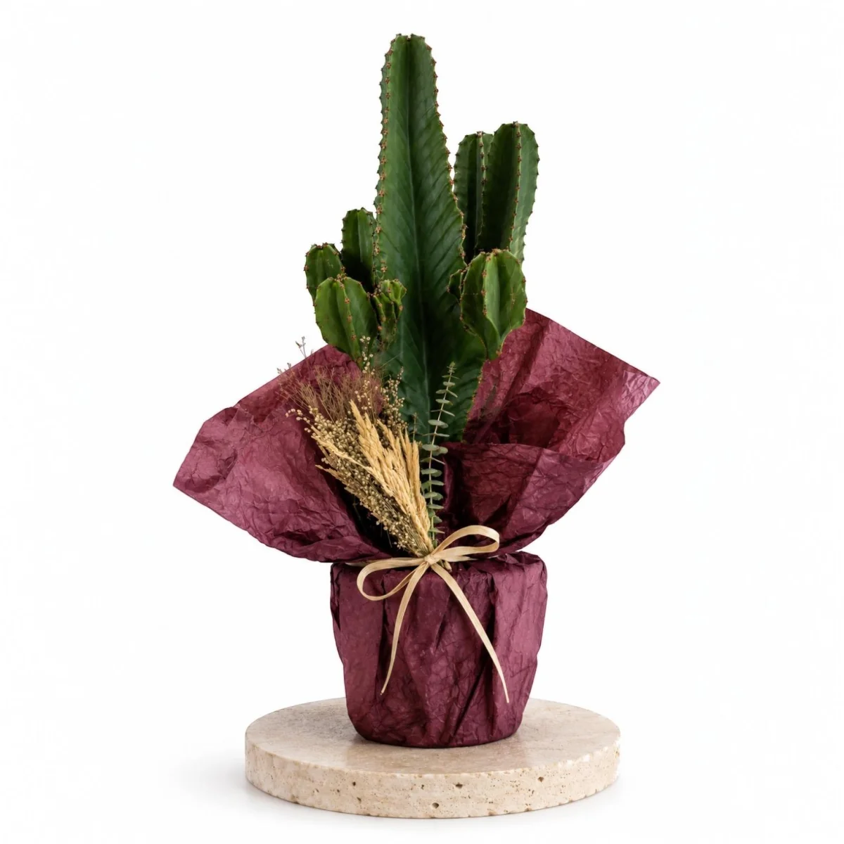 Desert Verde Premium