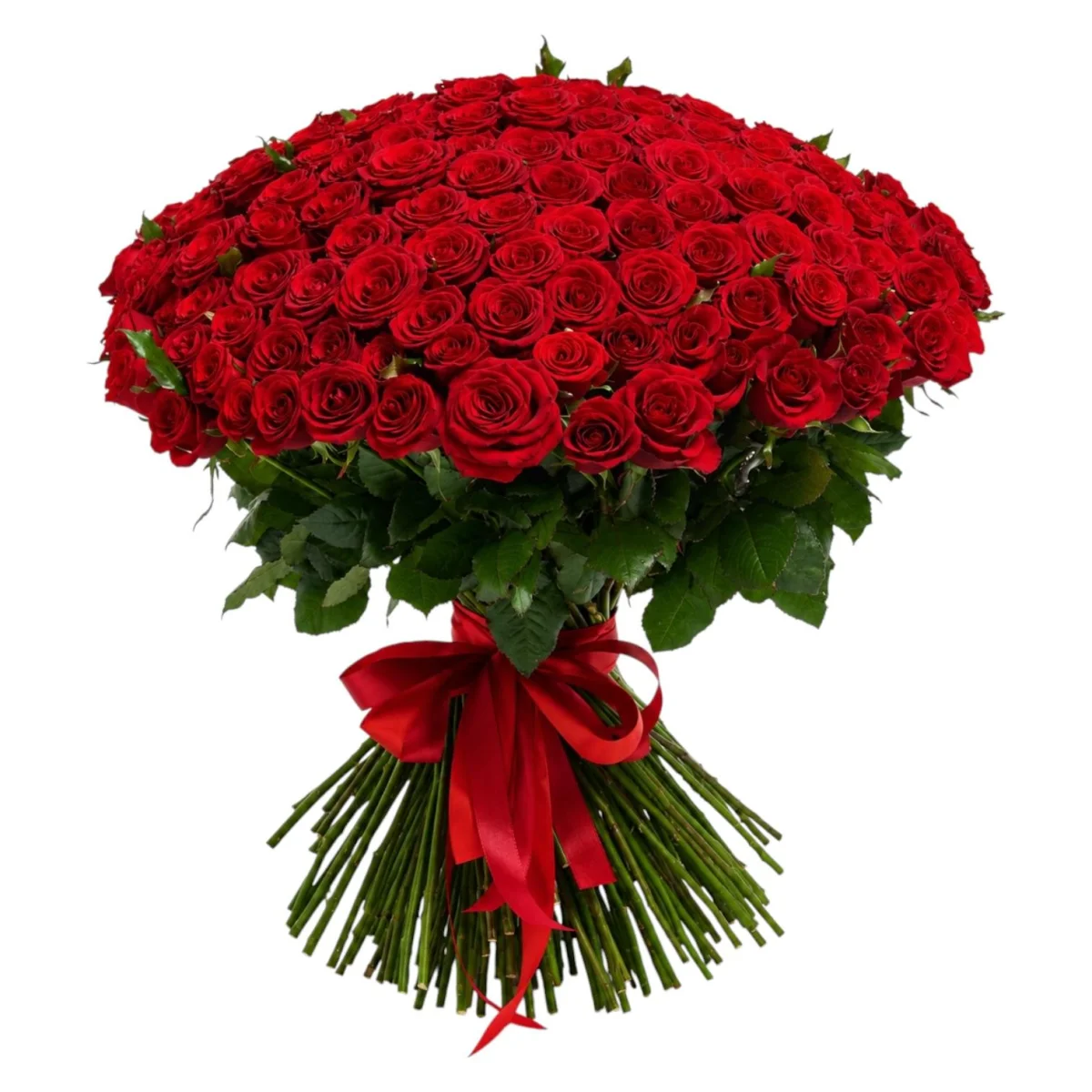 Eternal Crimson Grand Bouquet