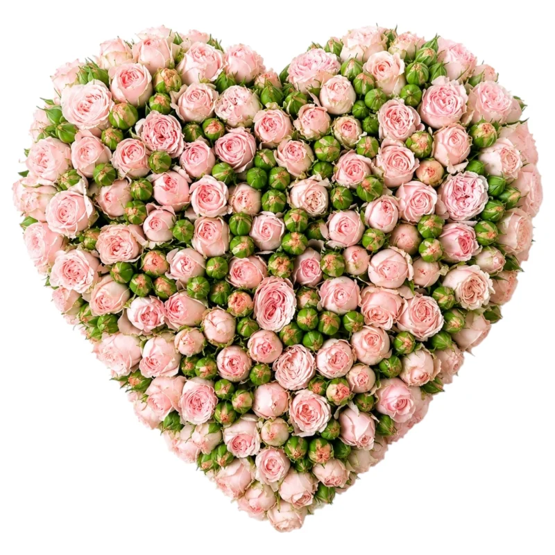 Heartbeat in Bloom