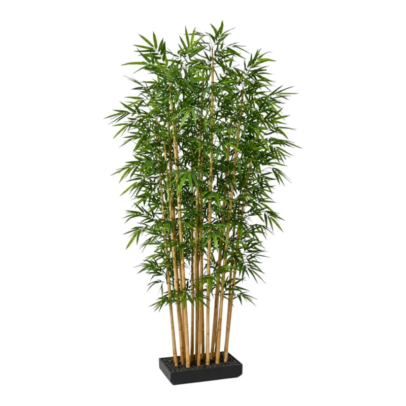 Zen Bamboo Grove