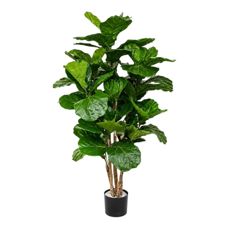 Statement Fiddle Leaf Fig Tree