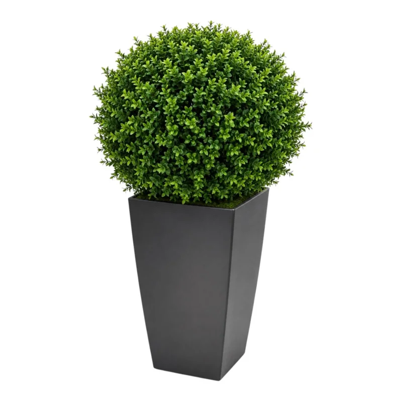 Topiary Sphere Boxwood Ball
