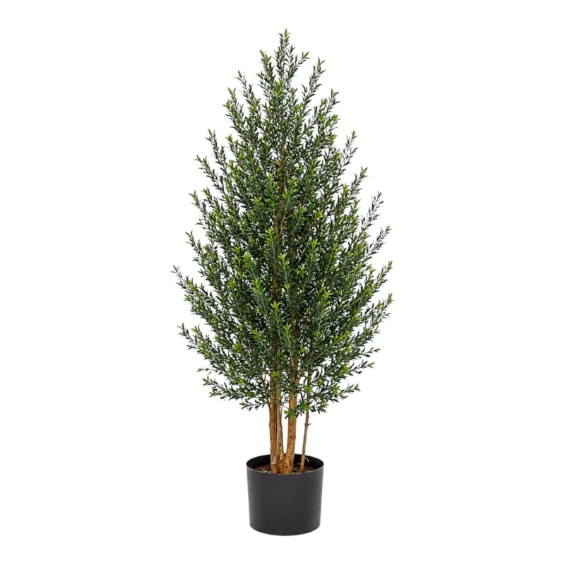 Pyramid Cypress Topiary Tree
