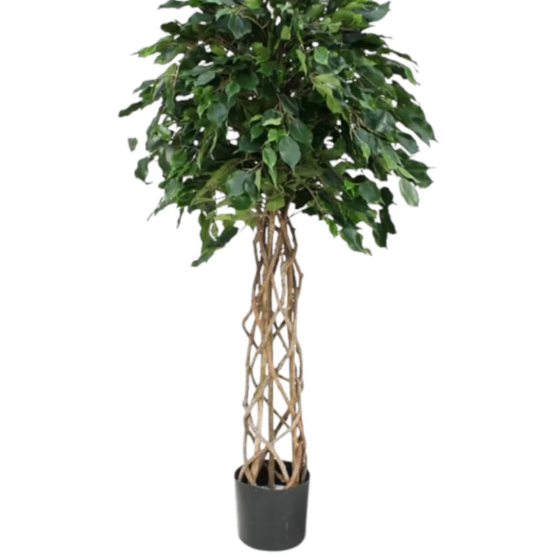 Yapay Örgü Gövdeli Ficus Ağacı