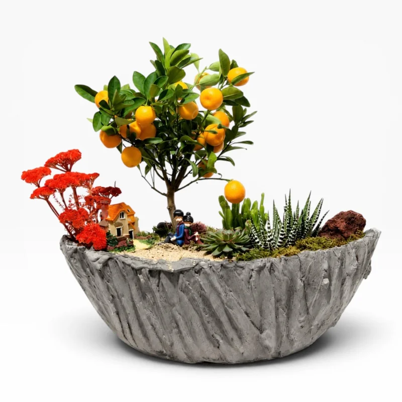 Mandalina Bonsai Teraryum Bahçesi