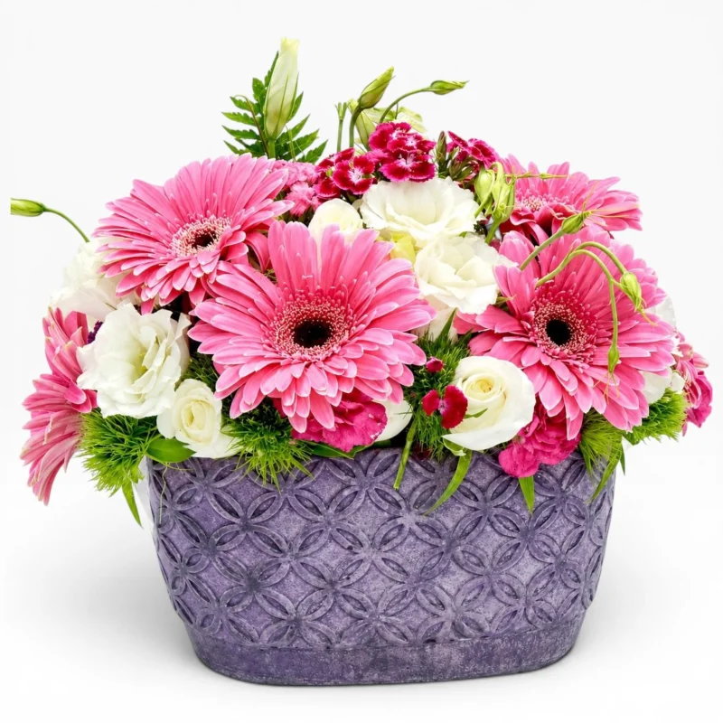 Pembe Düşler Gerbera Aranjmanı